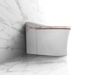 科勒榮登2017中國品牌力指數(shù)座便