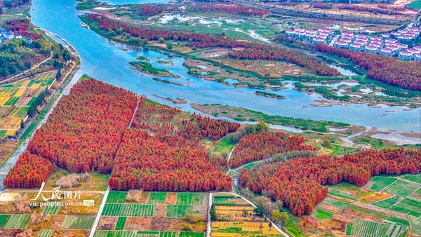 浙江淳安：武強溪生態濕地五彩斑斕